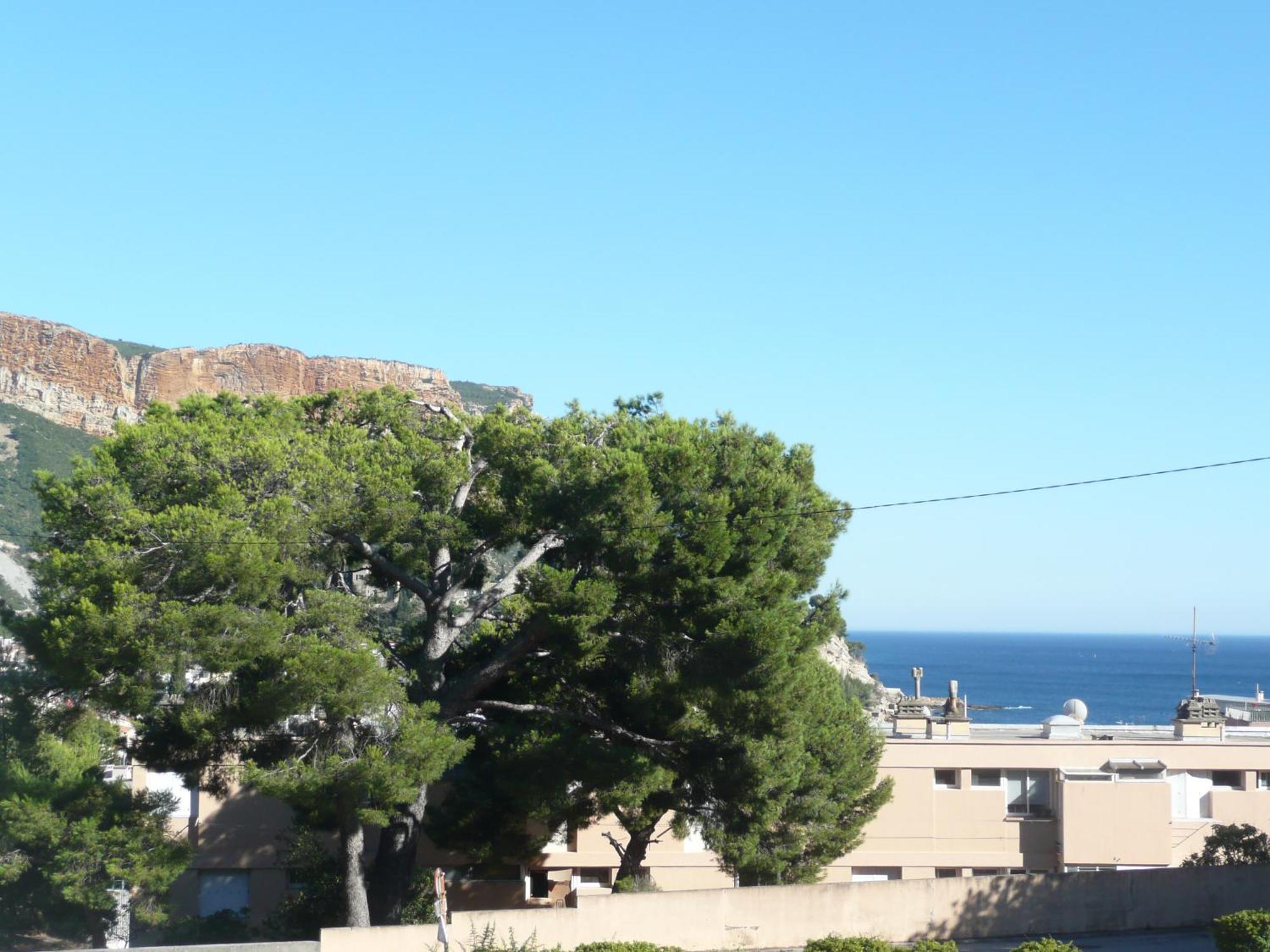Le Camelia Apartment